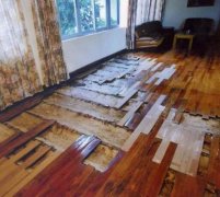 井岸鎮(zhèn)殺蟲(chóng)別墅地板案例